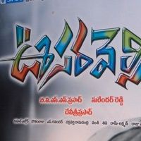 Jr NTR's Oosaravelli Audio Launch Gallery | Picture 77131